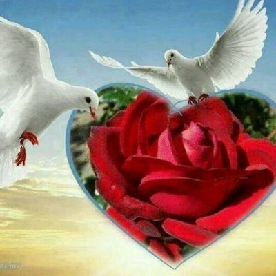 ‏ابو سراج الهذلي