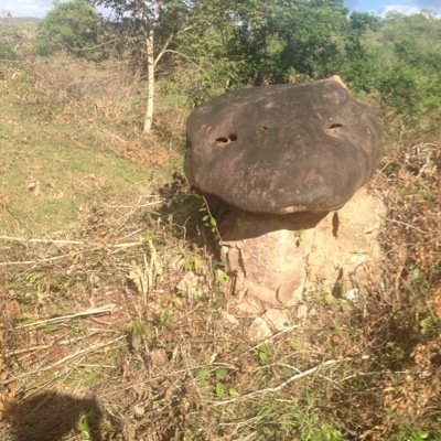 ataico's profile image