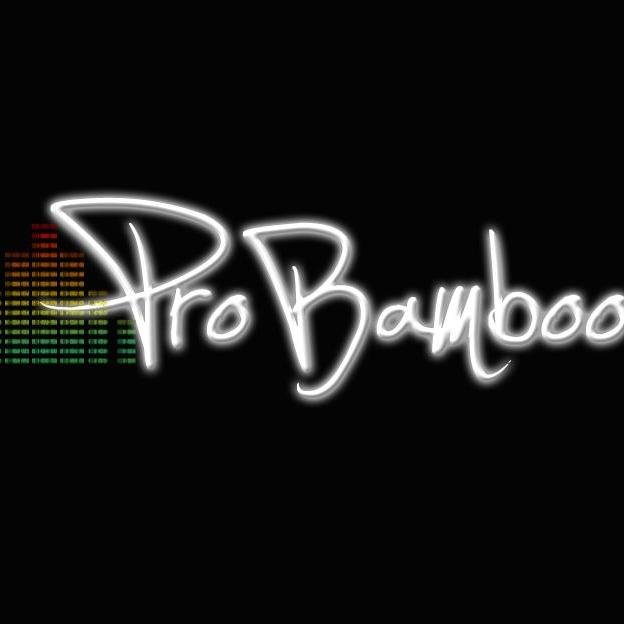 ProBamboo's profile picture. Somos una sólida compañía productora de eventos y logística, de cualquier magnitud... Lo más exclusivo en Trusst, Tarimas, Sonido Array, iluminación, Pantallas