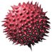 Influenza Virus Net (@influenzavirusn) Twitter profile photo Influenza Virus Net (@influenzavirusn) Twitter profile photo