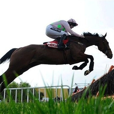 BettingDays's profile picture. Hints, tips and luck mixed with a bit of news and discussion to help us all have better betting days.