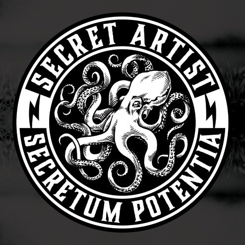 The Secret Artist Collective is both a platform and a community for an exclusive collective of artists. The project is a collab between brand and artist...