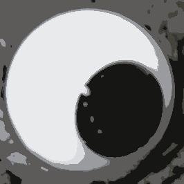 stunn00's profile picture. 