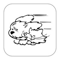 PFX Pet (@pfxpetsupply) 's Twitter Profile