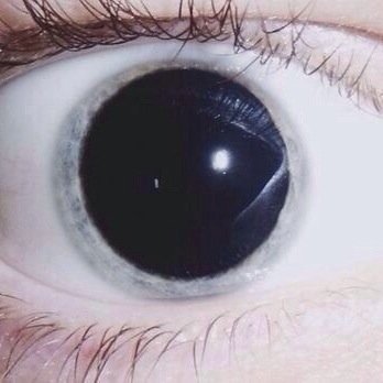 just releasing the high feels
