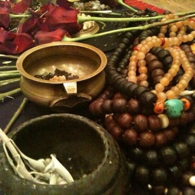 Indigo_Bee's profile picture. 