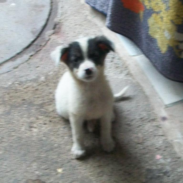 Mael34GAMER's profile picture. 