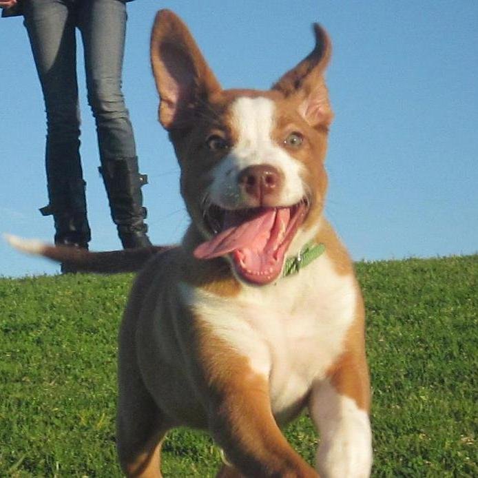 jzrosner's profile picture. 