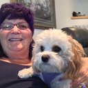 Paulette Haley - @Purple68 - Twitter