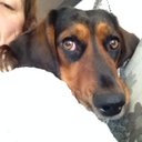 Sarah Roper - @ayasroperino - Twitter