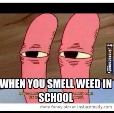 TidalOG's profile picture. I am a chill person. I love to talk to people So dm or tweet me. I love weed. if you dont like that then keep it to yourself