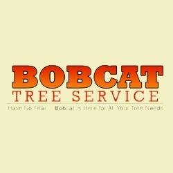 Bobcat Tree Service is your local tree specialist, providing service for all your tree care and maintenance needs.