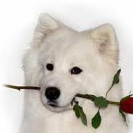 amelia78q's profile picture. 