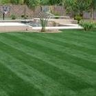 EnvylawnGrass1's profile picture. We are a wholesale manufacturer of high-quality artificial turf products that are ideal for putting or golf greens, playgrounds, landscaping and more.