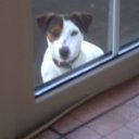 marc emery - @lazerxvenom - Twitter