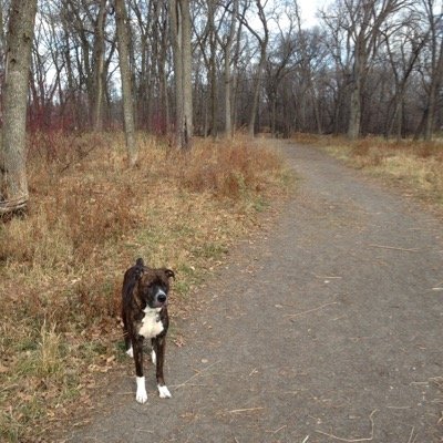 MisterMcGinty's profile picture. Rocket Surgeon