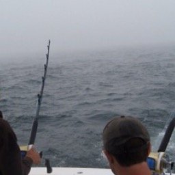 fishing_CC's profile picture. Fishing on the Cape