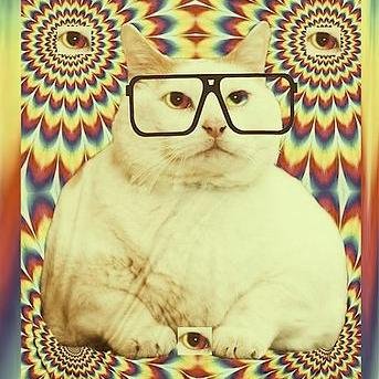 TEMprodOfficial's profile picture. 