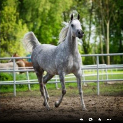 Toom12345123451's profile picture. 