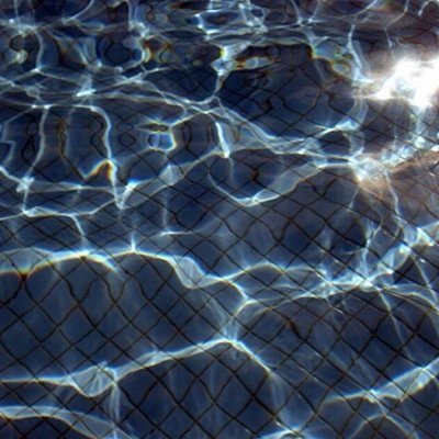 pvradize's profile picture. 