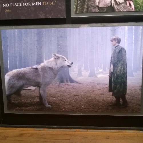 wine_lass's profile picture. Wine, Italy, England, Scotland, Ireland, Jane Austen, Antarctica, gardening, cats, horses, dogs, soccer, biking, Caravaggio, Mozart, Johnny Depp, Shakespeare