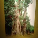 steven si - @sixiaofu - Twitter