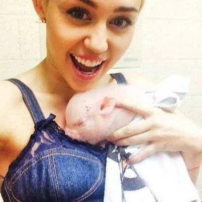 Updates of Miley. SMILER ♡ #BangerzTour ☆