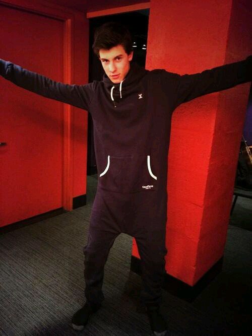 I love Justin Bieber and Shawn Mendes