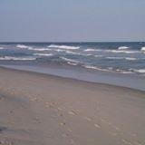 sc_ranger's profile picture. Love Old Harley's - ride a Wide Glide.

Meteor observer - see my website. 

Naturalist - slow down and observe our world!