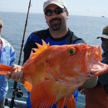 BrianGastrock's profile picture. Father, Civil Engineer, and outdoor enthusiast