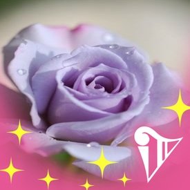 REIKA722's profile picture. 観劇(ミュージカル♥、歌舞伎、バレエ、ストプレ、コンサート他)が大好き。
生け花(師範)、ピアノ、エレクトーン、ジェンベ、ドラム、フラダンス(全部修行中)、パソコン、美術館巡り(特に日本画)、旅行、寺社仏閣巡り。
春のめざめで柿澤勇人さん沼に嵌る