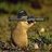 TimoLahtinen1's profile image