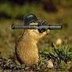TimoLahtinen1's profile picture. 