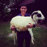 Josua Saragih (@josuasaragih_29) 's Twitter Profile