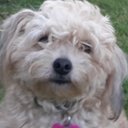 Peter Gozinya - @PeterGoziner - Twitter