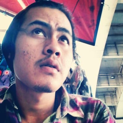 bos besar