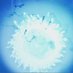 MAASKANT (@matthewmaaskant) Twitter profile photo