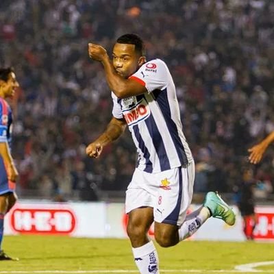 Hincha del Club de Fútbol Monterrey
