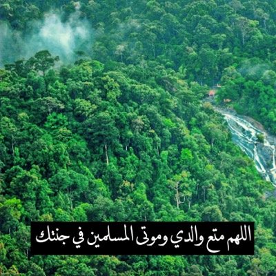 عَتبه ، عَتبه ، نَصعد إلى الجّنه ، إلى الحَياة الدائمه...