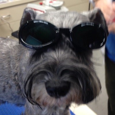 MrNathanFish's profile picture. Husband, engineer, project manager, master planner and owned by a Schnauzer.