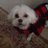 DianeBreer's profile image