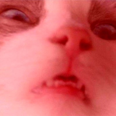 hi