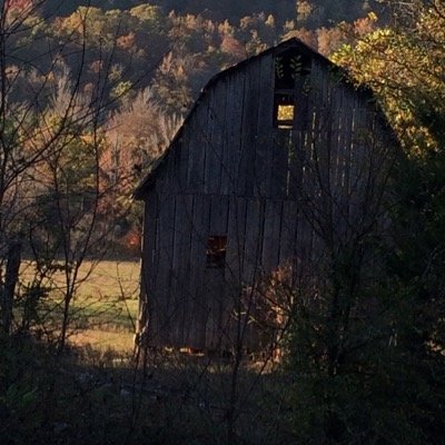 kathypeyrot's profile picture. 