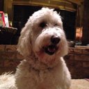 BradyBoy (@1975MMan) Twitter