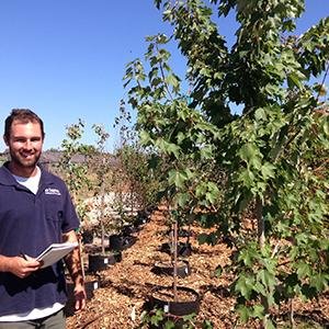 Located in Santa Rosa, we grow and sell trees since 2007. Our operations are 100% organic and support the local economy. We use sustainable, clean groundwater.