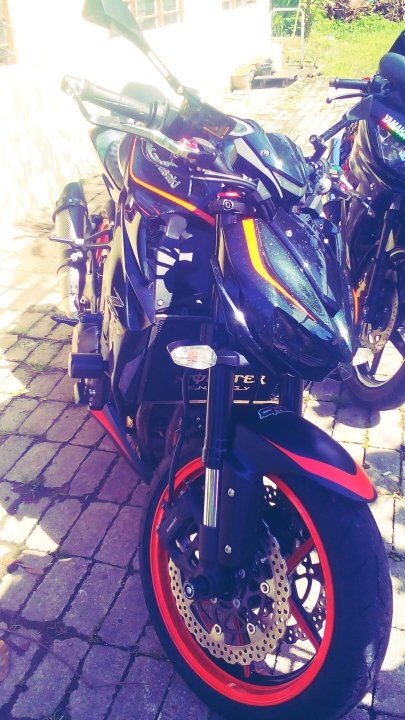 HaxRie's profile picture. 