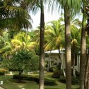 Ada Poon - @adahspoon - Twitter