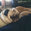 Lisa Vineyard - @lisavineyard - Twitter