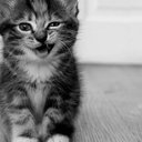 julian David cardozo - @jabacuck - Twitter