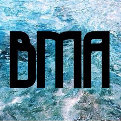 We are an artist ran agency designed to elevate the careers of our clients thru dedication and teamwork. #TheBMAgency